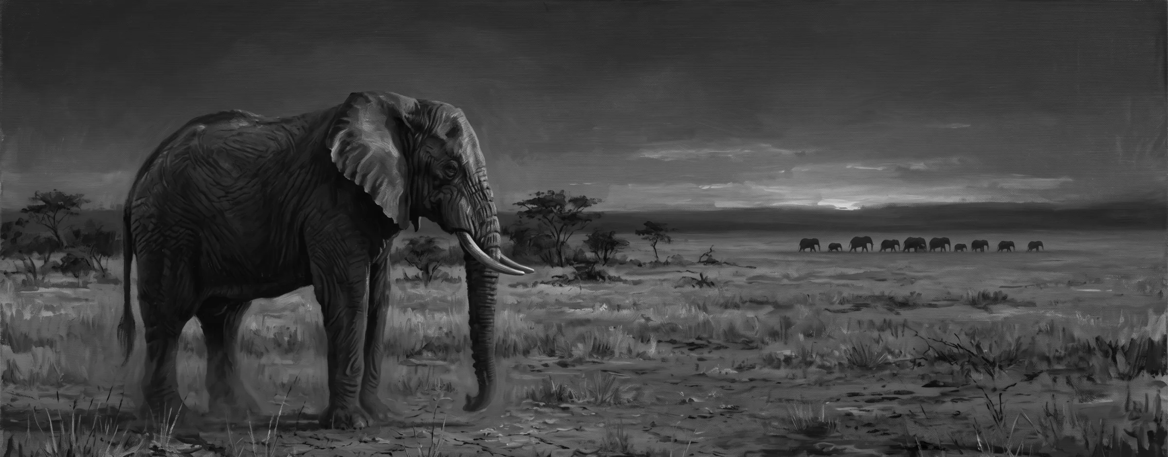 A black and white painting of an old elephant standing alone on a dry plain at dusk, with the rest of the herd walking away in a line along the far horizon
